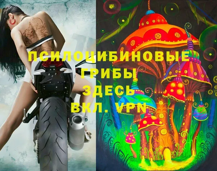 shop официальный сайт  где купить наркотик  Алушта  Псилоцибиновые грибы Cubensis 